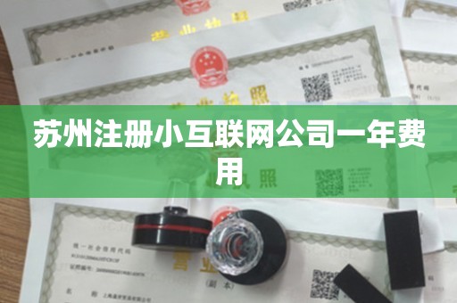 苏州注册小互联网公司一年费用