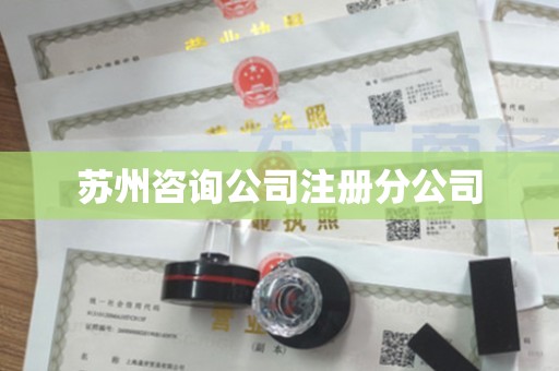 苏州咨询公司注册分公司