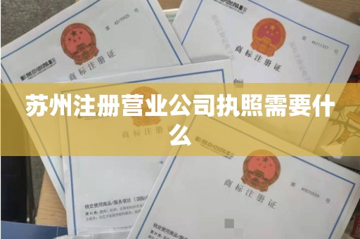 苏州注册营业公司执照需要什么