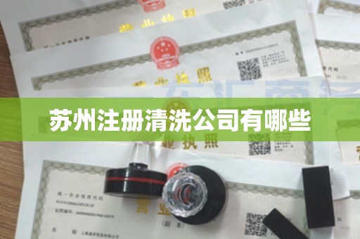 苏州注册清洗公司有哪些