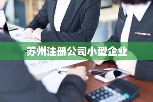 苏州注册公司小型企业